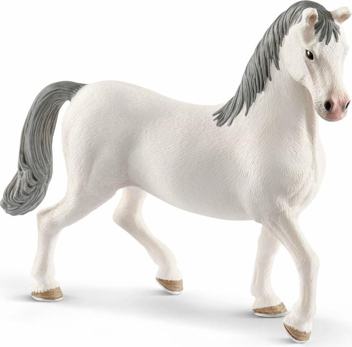 Produktbild Schleich Lipizzanerhengst