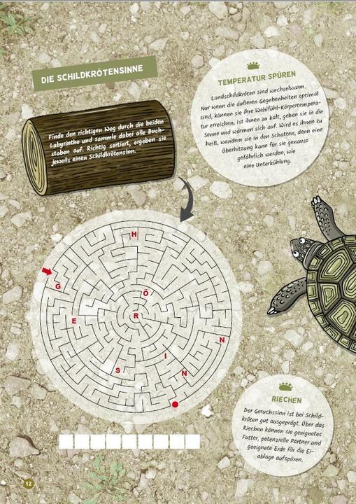Produktbild Faszination Schildkröte - das besondere Rätsel-, Mal- und Wissensbuch