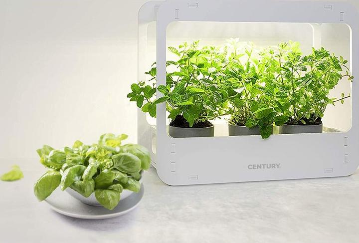 Produktbild Century Biogiardino LED 4000K (21.30 cm)
