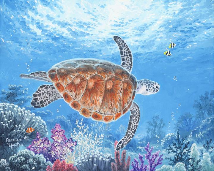 Produktbild Figured'Art Malen nach Zahlen Schildkröte auf Ballade ohne Keilrahmen