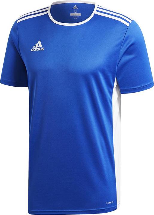 adidas Entrada 18 Fussballtrikot Kinder (164)