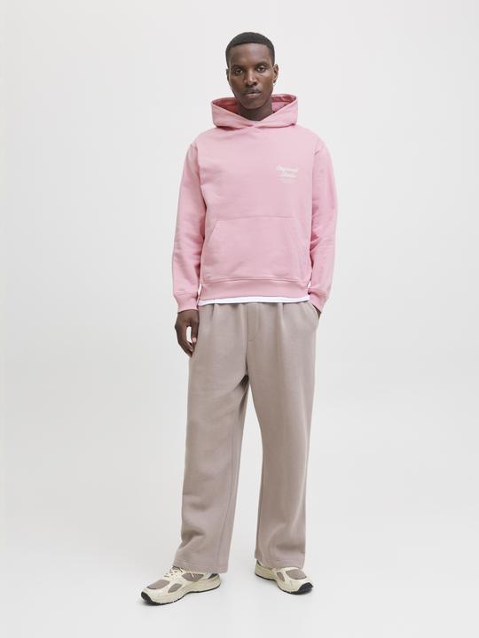 Actual product image Jack & Jones Kapuzenpullover Kapuzenpullover (XS)