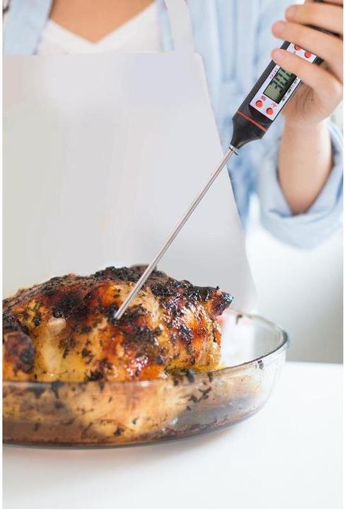 Produktbild No Name TP-101 Bratenthermometer