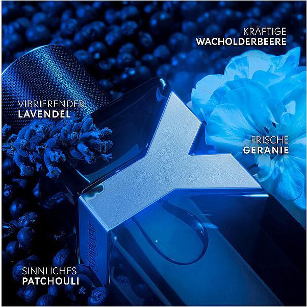 Actual product image Yves Saint Laurent Intense (Eau de parfum, 100 ml)