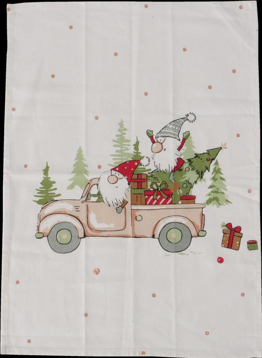 Boltze Home Carrie (50 x 50 cm)