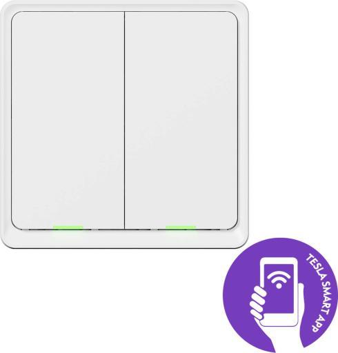 Actual product image Tesla TSL-SWI-ZIGBEE2