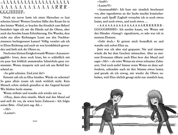 Produktbild Die Schule der mittelguten Zauberer – Wettkampf der Überflieger (Deutsch, Rieke Patwardhan, Daniel Steudtner, 2024)