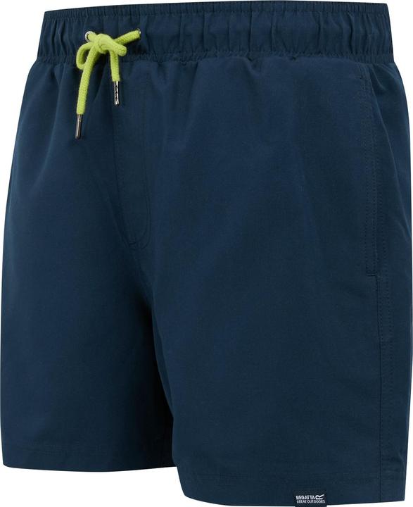 Actual product image Regatta Mens Mawson II Swim Shorts (L)