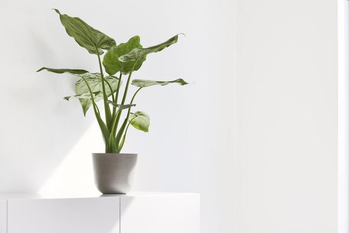 Image du produit Ecopots Oslo Mini (16 cm)