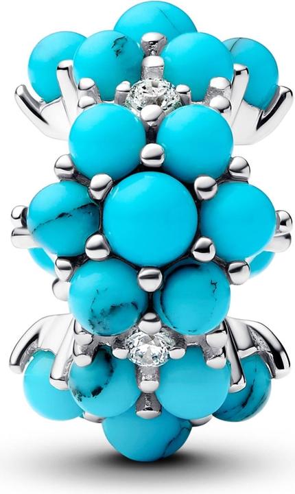 Immagine prodotto Pandora Fascino Oceano color turchese (Argento 925, Rivestimento a smalto)