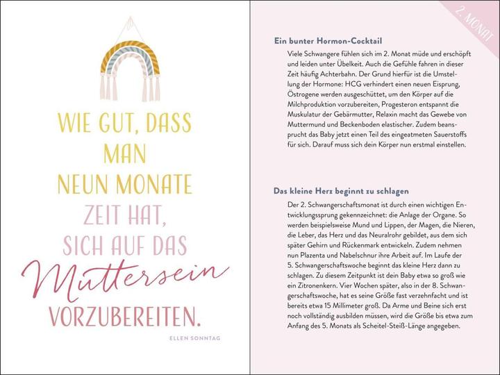 Produktbild Bald bist du da - Mein Schwangerschafts (Deutsch, Groh Verlag, 2024)