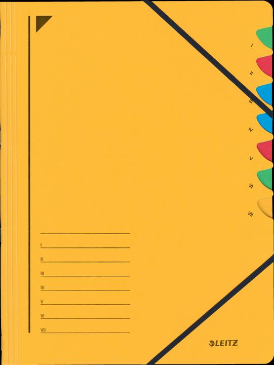 Produktbild Leitz Ordnungsmappe (A4, 1 x)
