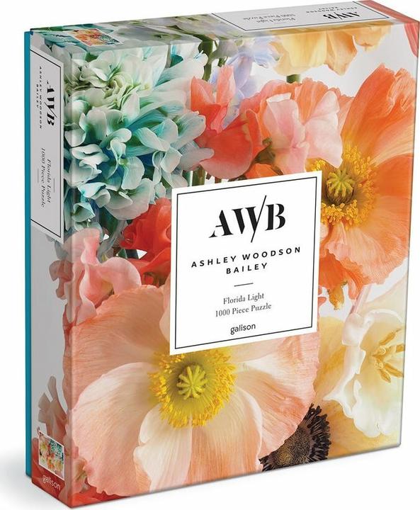 Produktbild Abrams & Chronicle Ashley Woodson Bailey Florida Light 1000 Piece Puzzle (Smaller Rectangle Box) (1000 Teile)