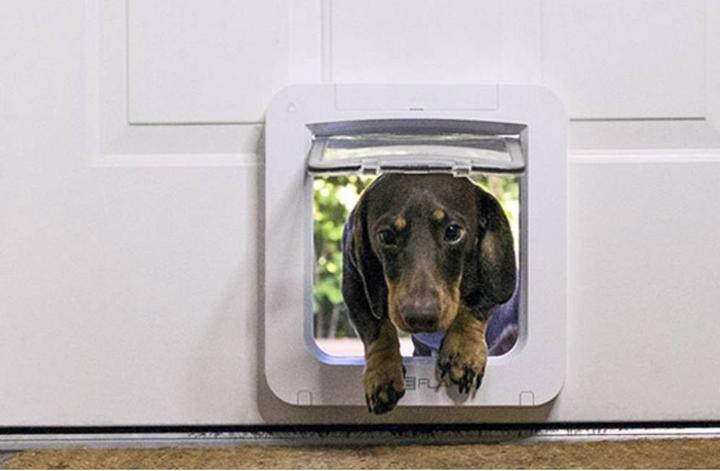 Actual product image SureFlap Connect (Microchip Cat Flap)