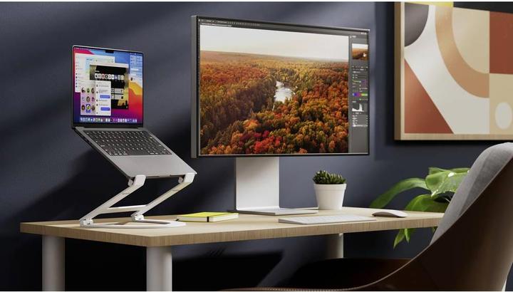 Immagine prodotto TwelveSouth Curve Flex