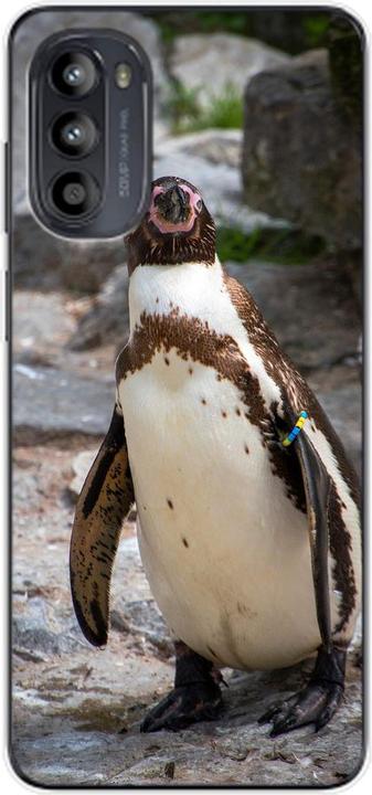 Pinguin