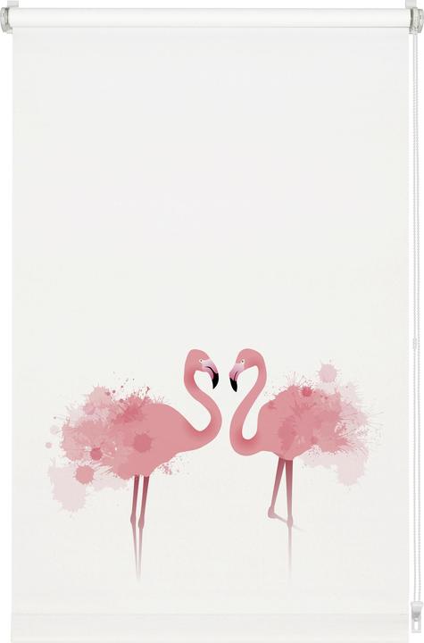Actual product image Gardinia EASYFIX roller blind Digiprint Flamingo (90 x 150 cm)