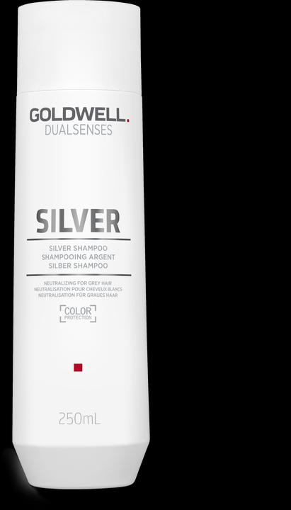 Actual product image Goldwell Dualsenses Silver Shampoo (250 ml, Liquid shampoo)