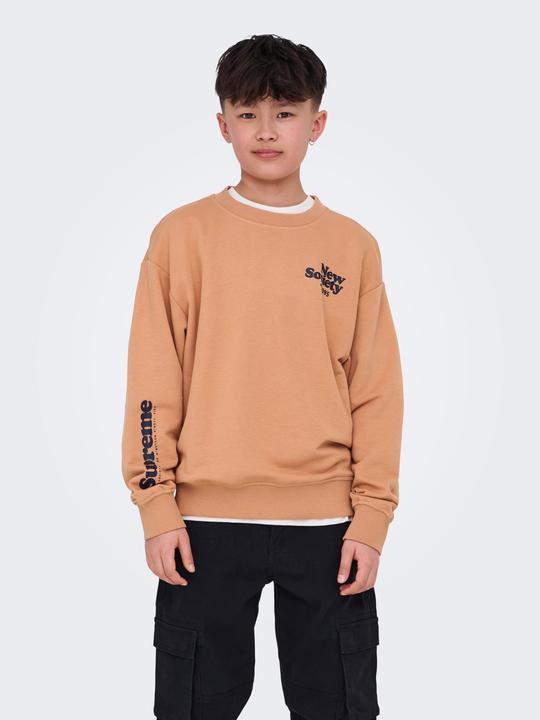 Actual product image Only & Sons Junior OSJTANNER Sweatshirt Sweatshirt (146)