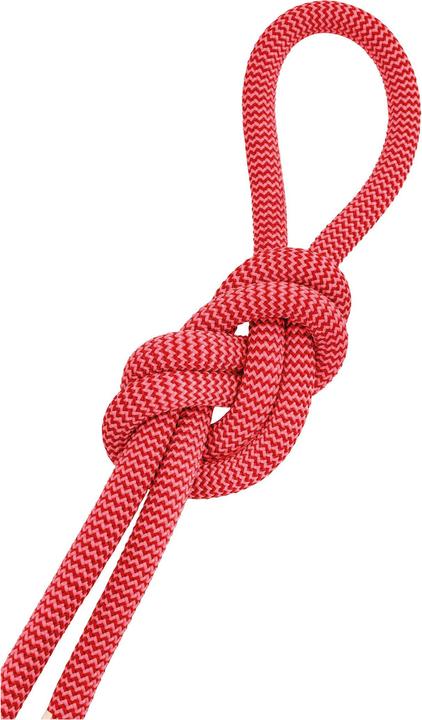 Actual product image Salewa Rope (60 m)