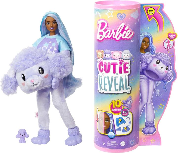 Actual product image Barbie HKR02