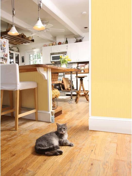 Produktbild PetSafe Ssscat (Katze)
