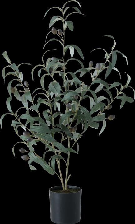 Boltze Home Decoration tree (70 cm)