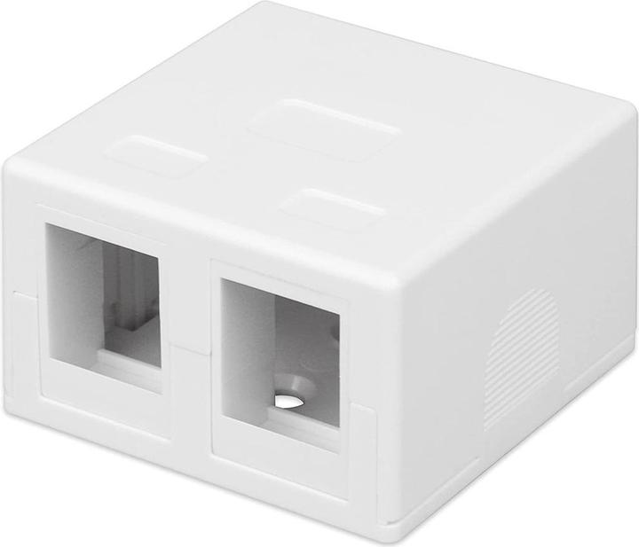 Actual product image Techly 2-Port Keystone Jack Surface Mount Box White