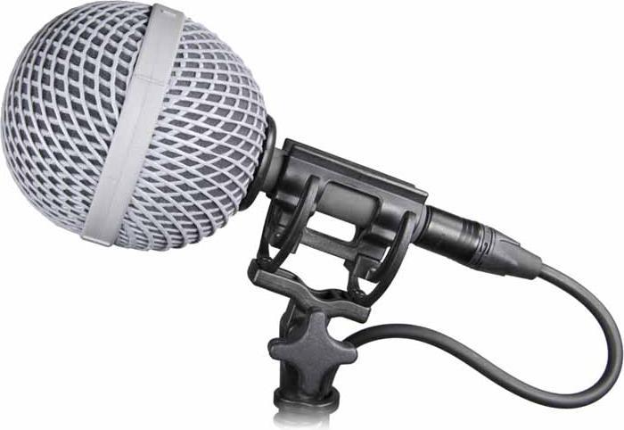 Actual product image Rycote 22MM BBG WS (Rejection)