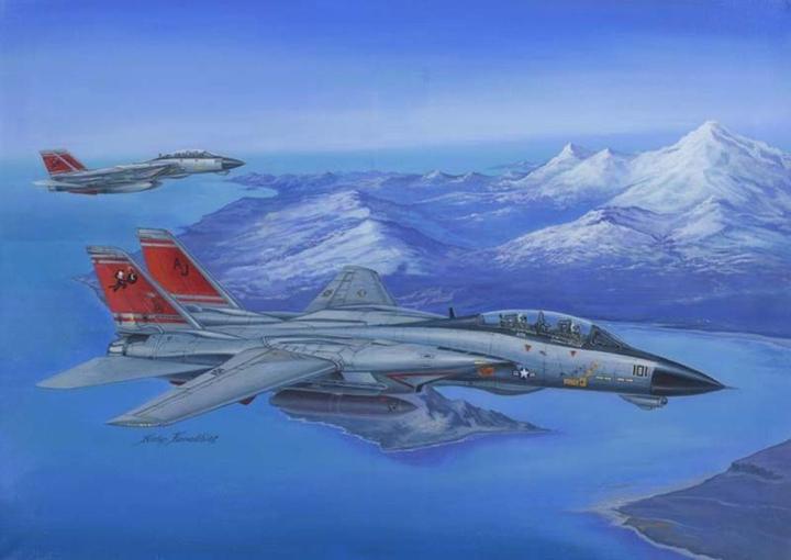 Produktbild Hobby Boss F-14D Super Tomcat