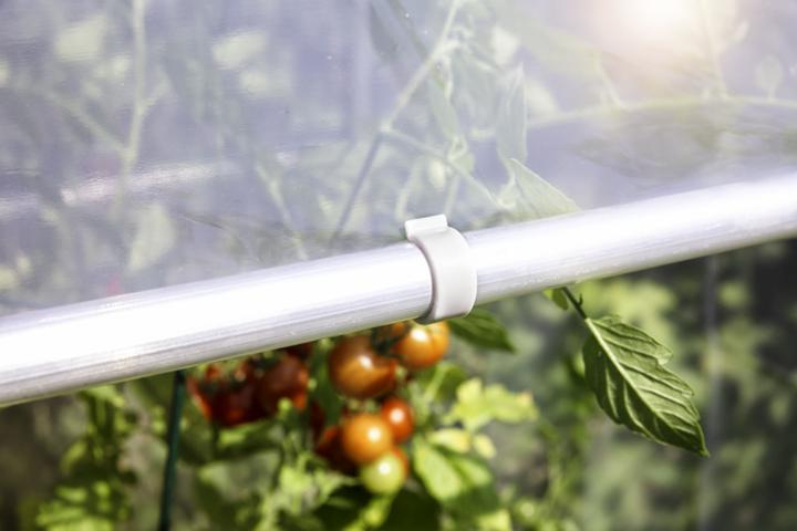 Produktbild Windhager Eratzfolie zu Tomatengewächshaus