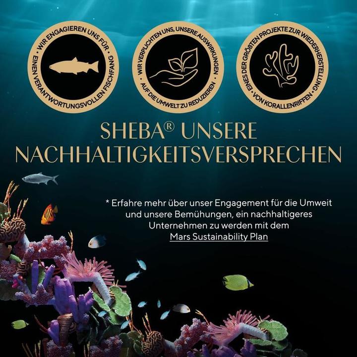 Produktbild Sheba Fresh & Fine in Sauce (Senior, Adult, 15 Stk., 750 g)