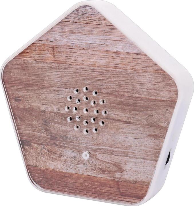 Actual product image Olympia Olymp Nature BOX