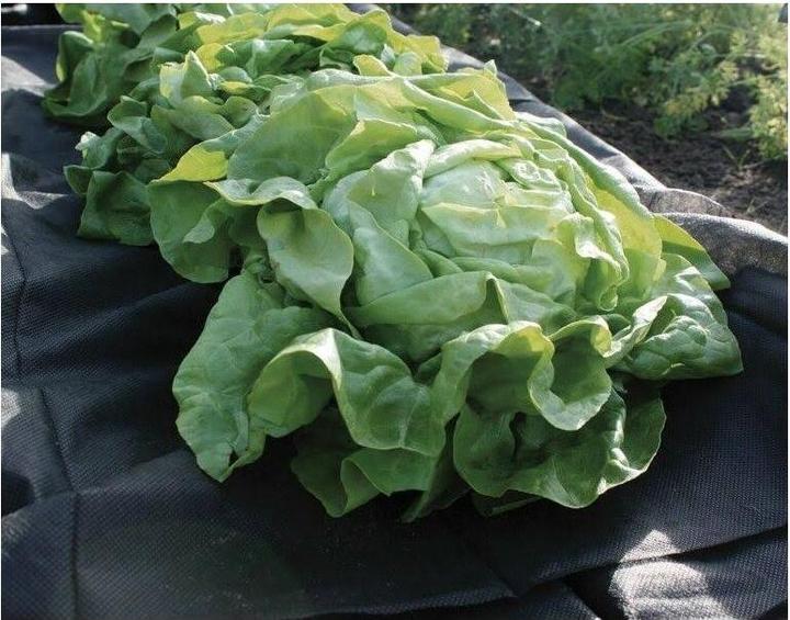 Produktbild Siena Garden Unkrautvlies