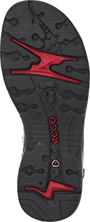 Actual product image Ecco Offroad Sandals (42)