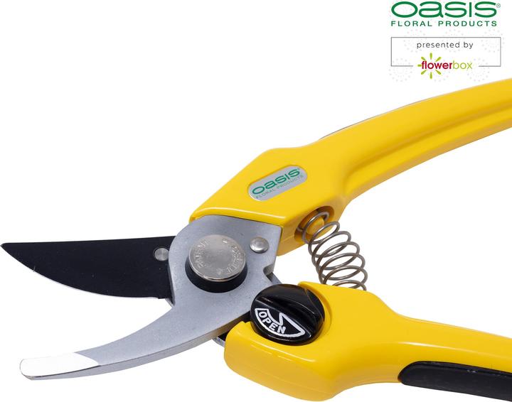 Immagine prodotto Oasis Forbici professionali per fioristi