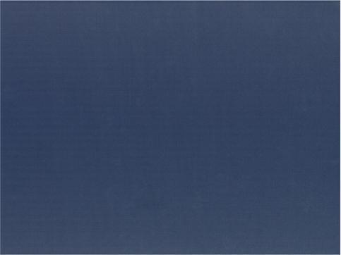 Papstar Tovagliette (100 x, 30 x 40 cm)