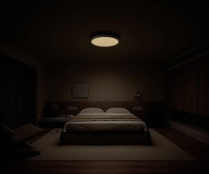 Actual product image Xiaomi Mi Smart ceiling light (1700 lm)