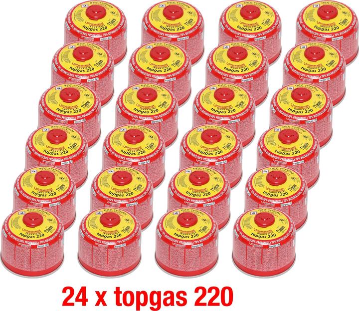 Rothenberger Top Gas Schraub - Gaskartusche 370 ml 7/16" EU 24 Stück