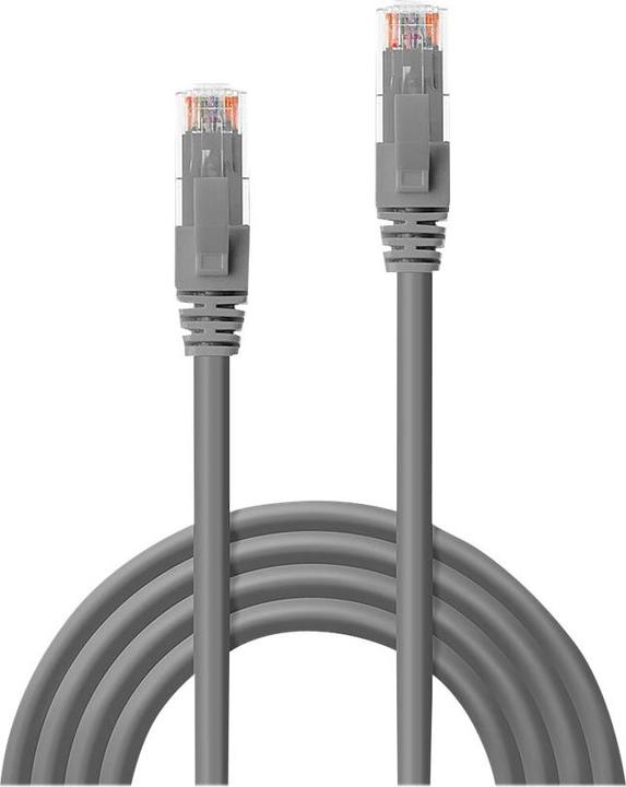 Actual product image Lindy Network cable (UTP, CAT6, 30 m)
