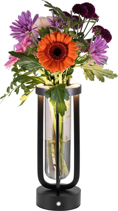Image du produit Securit Florence (50 lm)