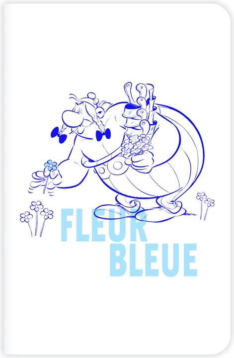 Actual product image Clairefontaine Asterix 5 Notebook (11 x 17 cm, Lined, Hardcover)