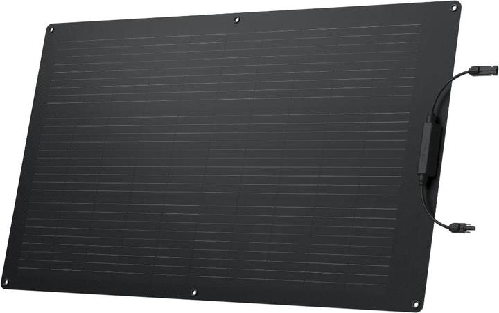 EcoFlow Panneau solaire 100W (100 W, 2.30 kg)