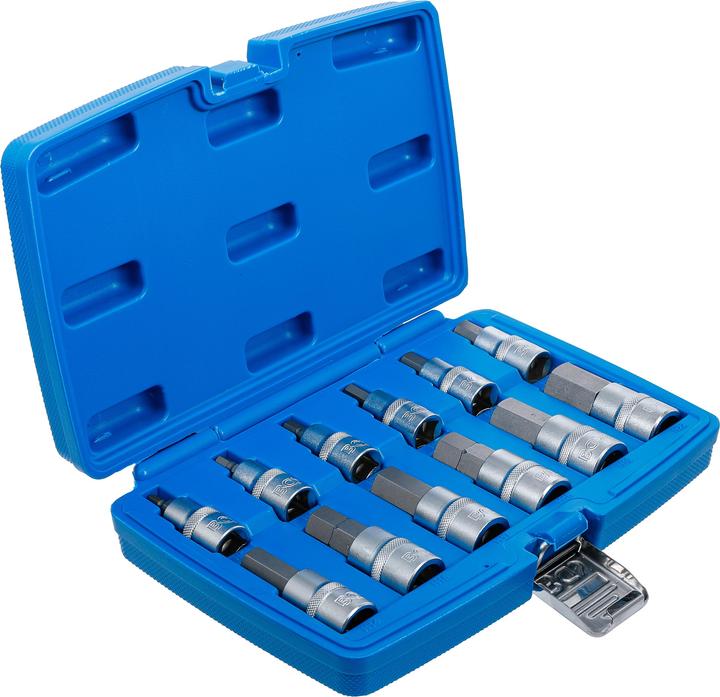 Actual product image BGS Bit insert set (Hexagon socket M5, Hexagon socket M6, Hexagon socket M8, Hexagon socket M10, Hexagon socket M12, Hexagon socket M7, Hexagon socket M14, Hexagon socket M16, Hexagon socket M17, Hexagon socket M18, Hexagon socket M19, Hexagon socket M22)