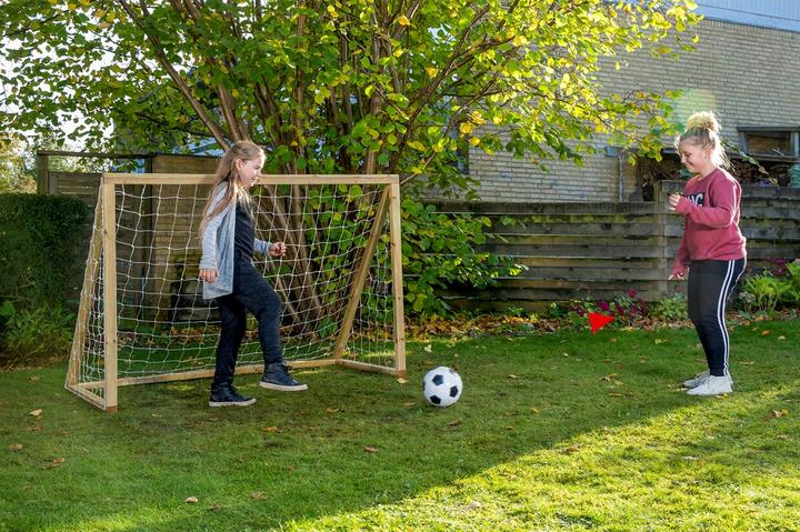 Actual product image Euro Play Homegoal Classic Junior