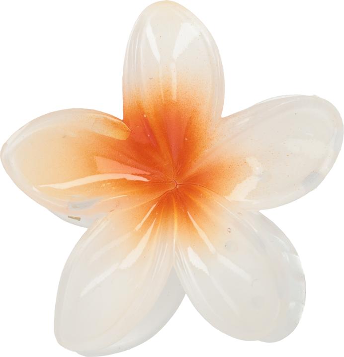 Immagine prodotto Trisa Fashion Frangipani Set Haarklammern & Clip Orange 5 Stk (5 pz.)