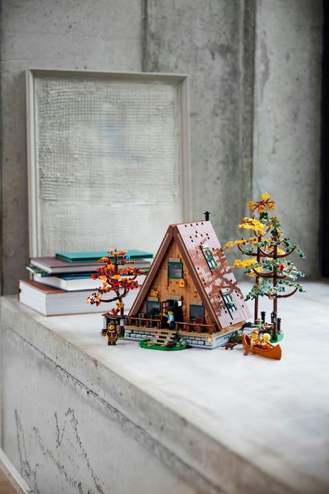 Actual product image LEGO Ideas Finn Cottage 21338 (21338, LEGO Ideas, LEGO Rare Sets)