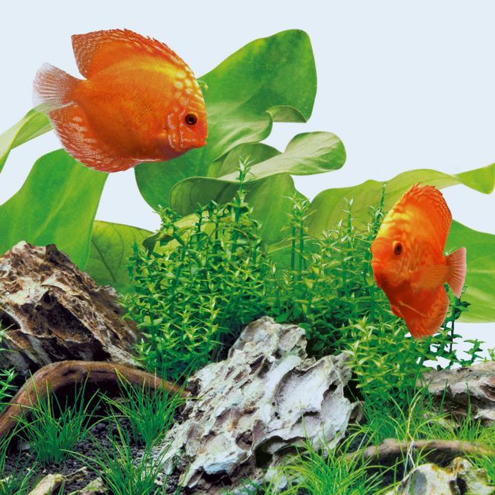 Produktbild Juwel Aquarium LED Day (LED, 31 W)
