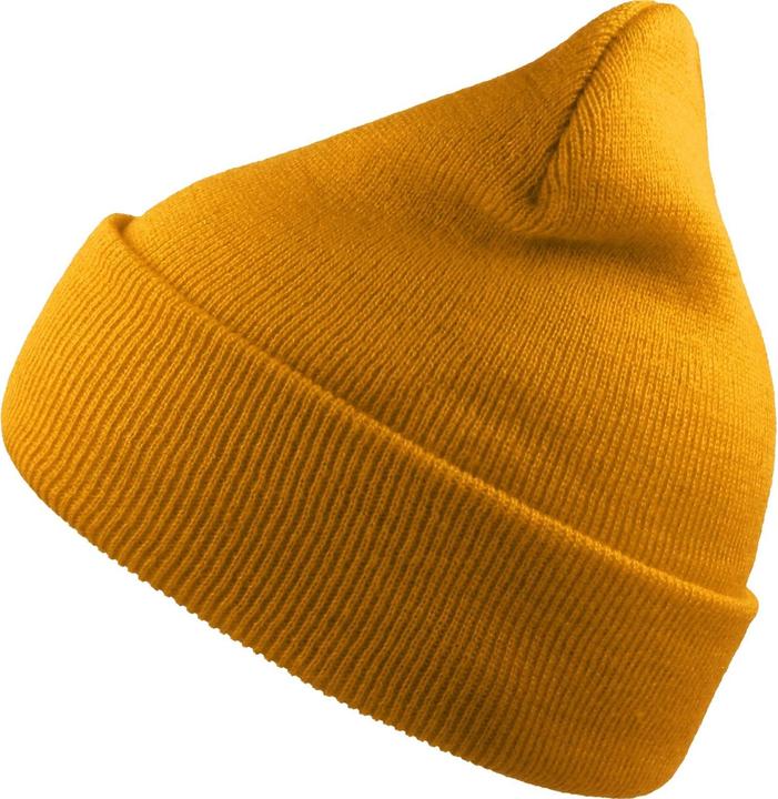 Actual product image Atlantis Unisex Adult Wind Recycled Cuffed Beanie