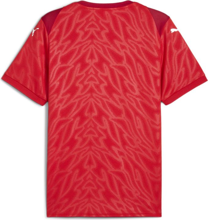 Produktbild Puma teamCUP Jersey (XXL)